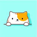 猫咪壁纸下载最新版（暂无下载）_猫咪壁纸app免费下载安装