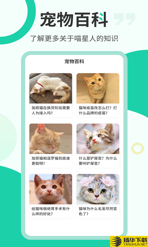 猫语翻译机下载最新版（暂无下载）_猫语翻译机app免费下载安装