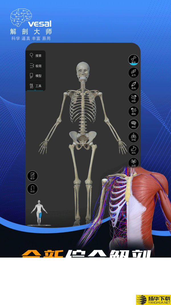 解剖大师下载最新版（暂无下载）_解剖大师app免费下载安装