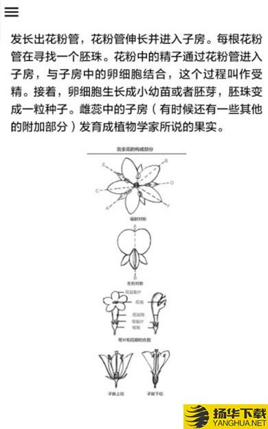 野外植物识别手册下载最新版（暂无下载）_野外植物识别手册app免费下载安装