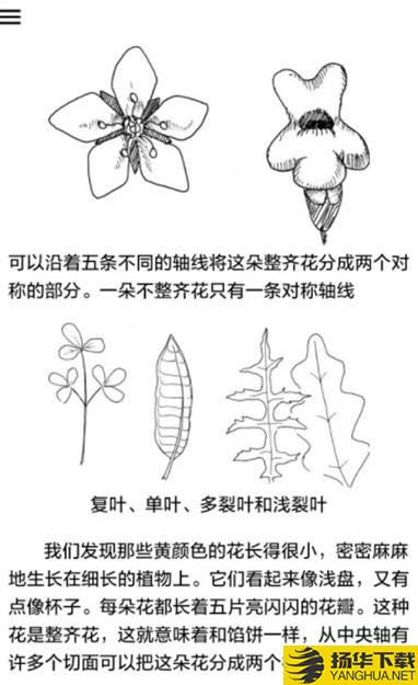 野外植物識別手冊