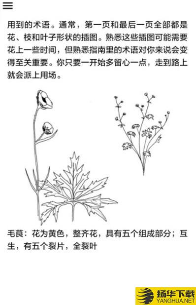 野外植物识别手册下载最新版（暂无下载）_野外植物识别手册app免费下载安装