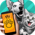 动物交流模拟器下载最新版（暂无下载）_动物交流模拟器app免费下载安装