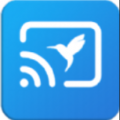 青蜂鸟投屏下载最新版_青蜂鸟投屏app免费下载安装