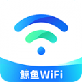 鲸鱼WiFi