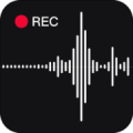录音专家下载最新版（暂无下载）_录音专家app免费下载安装
