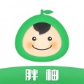胖柚下载最新版（暂无下载）_胖柚app免费下载安装