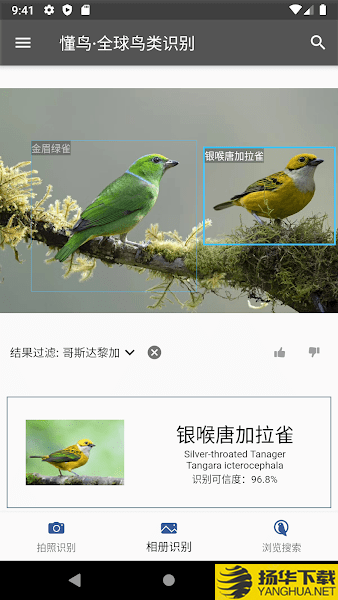 懂鳥全球