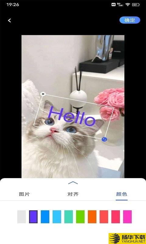 小猪翻译器下载最新版（暂无下载）_小猪翻译器app免费下载安装