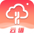 云语下载最新版（暂无下载）_云语app免费下载安装