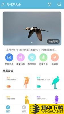 鸟叫声大全下载最新版（暂无下载）_鸟叫声大全app免费下载安装