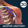 解剖大师下载最新版（暂无下载）_解剖大师app免费下载安装