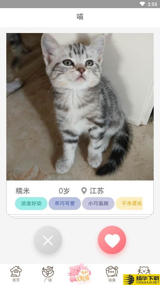 猫咪汇下载最新版（暂无下载）_猫咪汇app免费下载安装