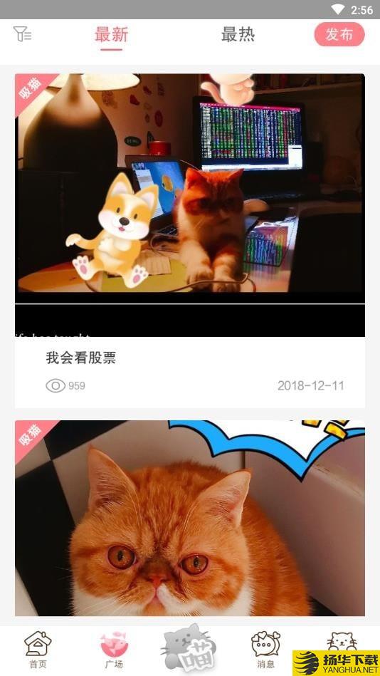 猫咪汇下载最新版（暂无下载）_猫咪汇app免费下载安装