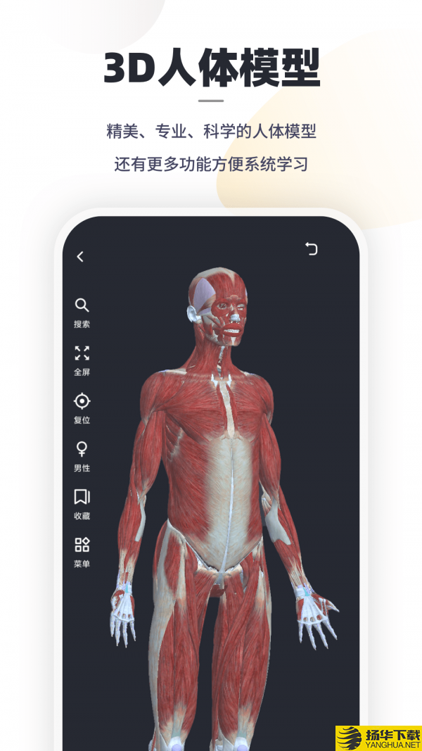 口袋人体解剖下载最新版（暂无下载）_口袋人体解剖app免费下载安装