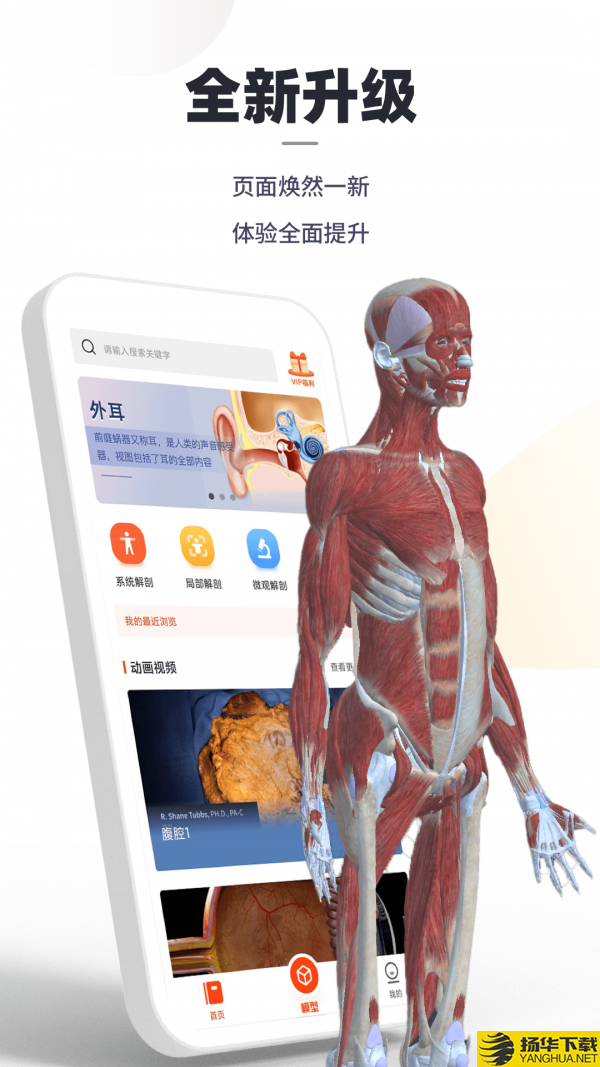口袋人体解剖下载最新版（暂无下载）_口袋人体解剖app免费下载安装