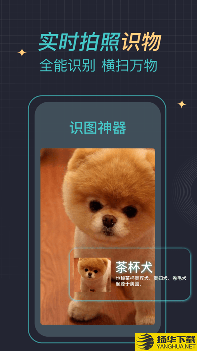 识图神器下载最新版（暂无下载）_识图神器app免费下载安装