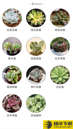 植物君