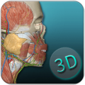 人体解剖学图集下载最新版（暂无下载）_人体解剖学图集app免费下载安装