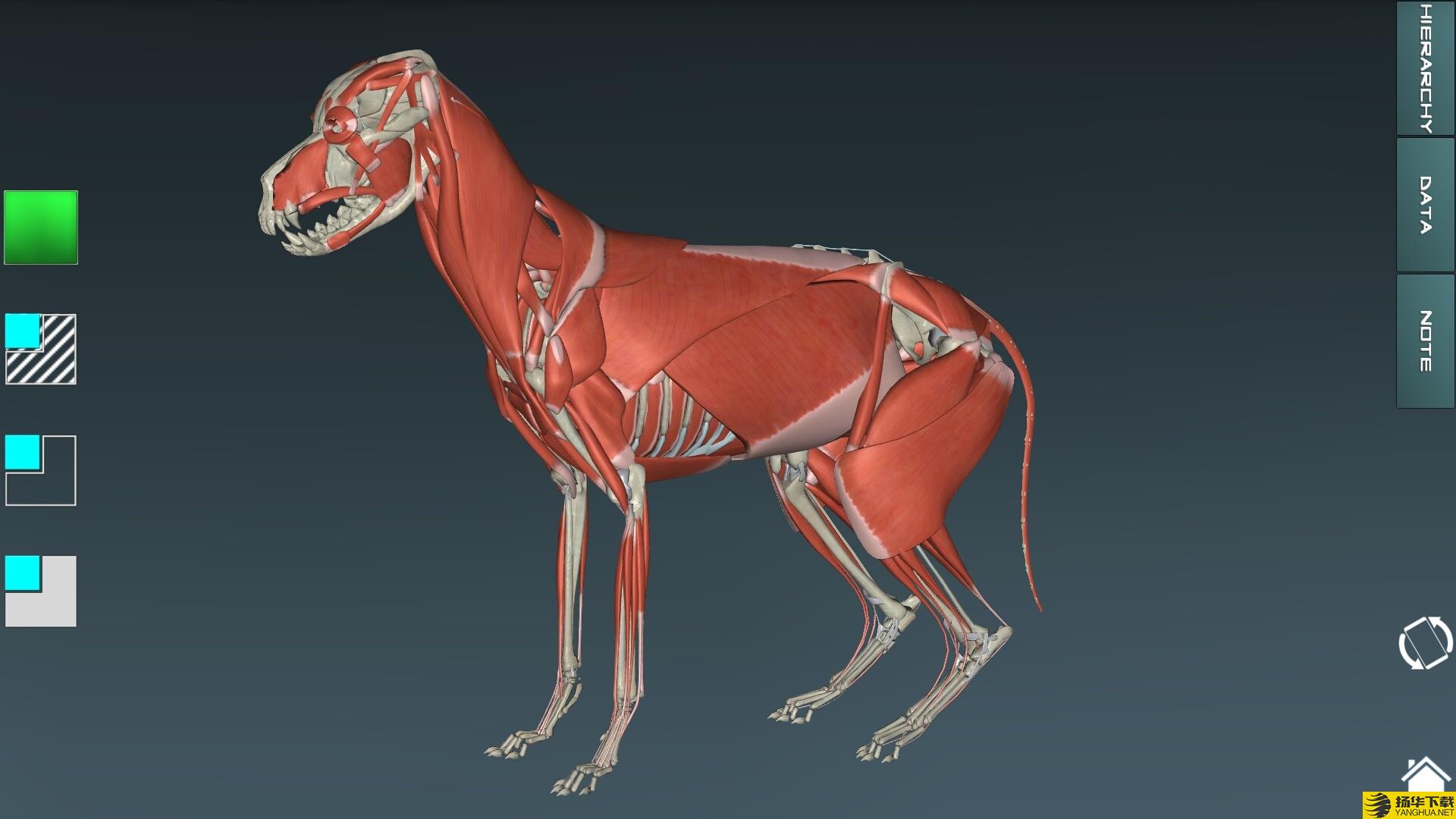 人体解剖学图集下载最新版（暂无下载）_人体解剖学图集app免费下载安装