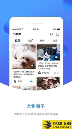 犬易app下載