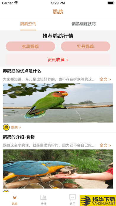 清萌鹦鹉下载最新版（暂无下载）_清萌鹦鹉app免费下载安装