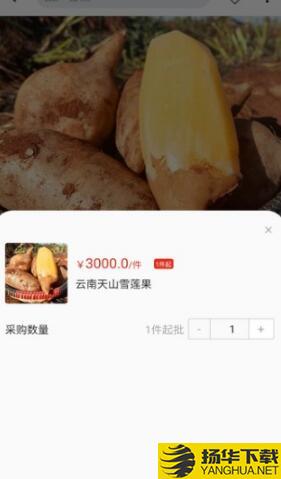 天蕉云果app下载_天蕉云果app最新版免费下载