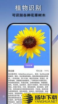 拍照识别王app下载_拍照识别王app最新版免费下载