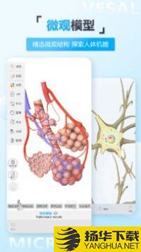 维萨里3D解剖app下载_维萨里3D解剖app最新版免费下载