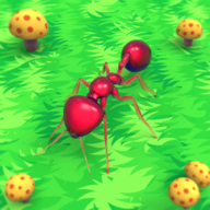 蚂蚁的生活